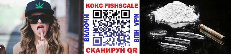 COCAIN Fish Scale  Купить где  Борисоглебск 