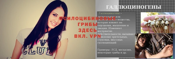 синтетический гашиш Богородицк