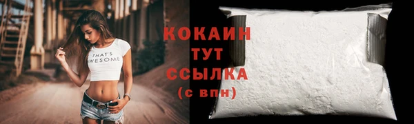 PSILOCYBIN Богданович