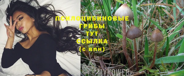 синтетический гашиш Богородицк