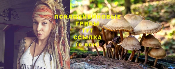 PSILOCYBIN Богданович