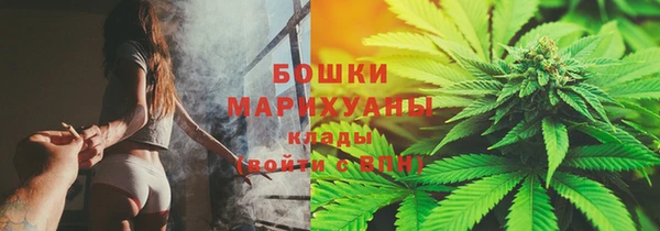 PSILOCYBIN Богданович