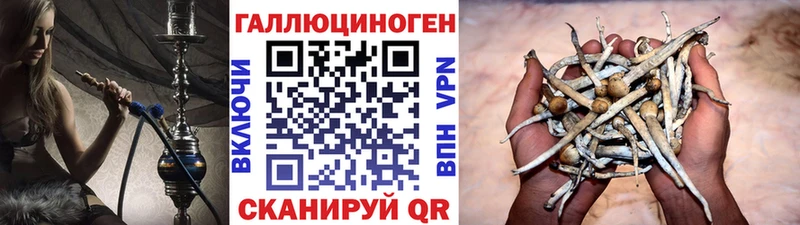 Псилоцибиновые грибы мицелий  Купить  Борисоглебск 